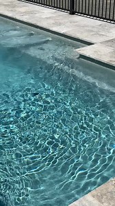 One of our most-popular displays for a reason. The Vogue Series in the Compass Bi-luminite colour Quartz brings sleek style, timeless elegance and a sparkling finish that transforms any backyard. Come and see it in person at our display centre and discover why it’s a top pick! https://compassnewcastle.com.au/contact/ #VoguePool #SelfCleaningPool | Compass Pools Newcastle