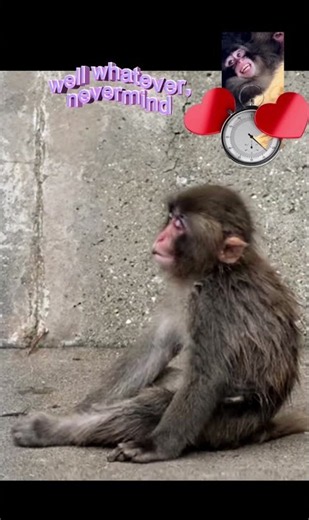 💋❤️🥰Ohh no😂I am dreaming ..yes | 夢を見ている……そう、夢を見ているんだ。 | මම සිහින දකිමින් ඉන්නේ... ඔව්.|