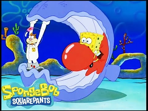 SpongeBob Meets Sandy | Tea at the Treedome - Season 1 Episode 3 | SpongeBob SquarePants