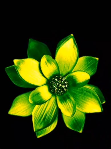 bon appetit baby #lyrics_songs #song #songs