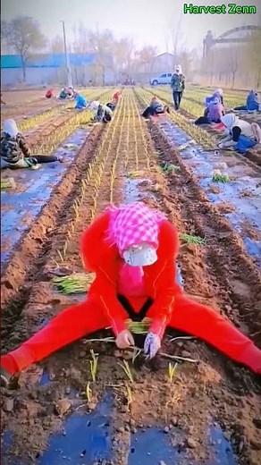 The Future of Farming: Unveiling Modern Agricultural Technology