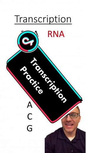 Understanding DNA Transcription Process: A Comprehensive Guide