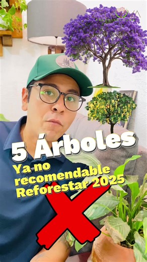 5 Árboles No Recomendables a Seguir Reforestando🌳🌲‼️#arbolesnativos #arbolesinvasivos #arbolesnativosdemexico #especiesnativas #arboles #arbolado #reforestacion #arbol #arboricultura #arboricultura #naturaleza #plantaunarbol