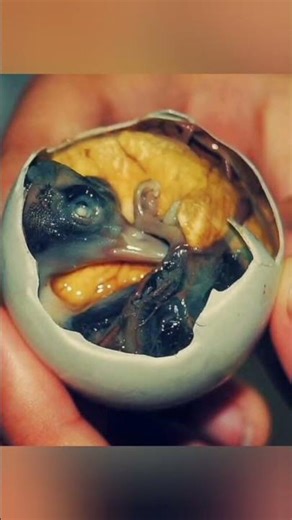 Balut: The Iconic Filipino Street Food You Need to Try | Philippines Culinary Heritage