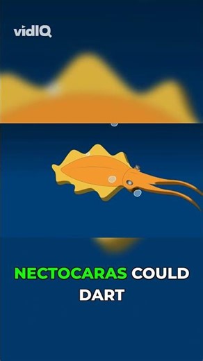 Anomalocaris vs. Nectocaris: Ancient Predator-Prey!