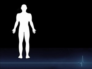 BIO 230 Gene and Protein Synthesis