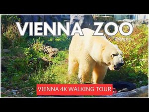 Vienna Zoo 🐼 Schönbrunn 🇦🇹 Extensive Virtual Walking Tour in 4K | 139min