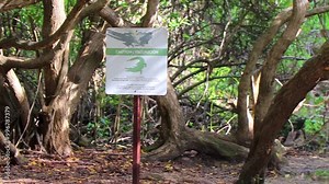 Sign with crocodile warning at the water in jungle Mexico.