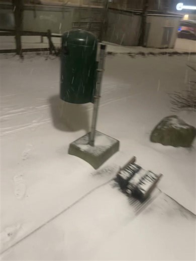 Experience the Beauty of Finnish Snowfall