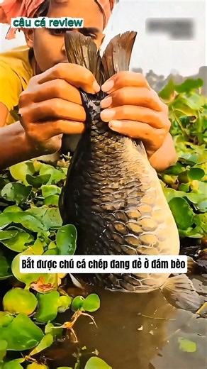 Angler spots two fish trapped and moves to catch them, here's what happened #fishing #catchingfish
