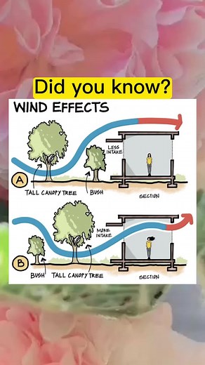 #didyouknow #windeffect