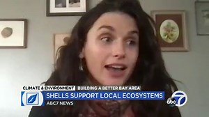 How crushed shells are helping restore Bay Area oyster and clam ecosystems, combat climate change