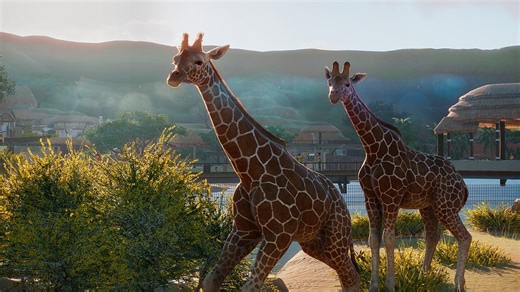 Un nouveau Planet Zoo est en développement, et sera dévoilé l'année prochaine