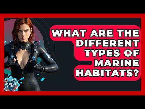 What Are The Different Types Of Marine Habitats? - The Marine Life Explorer