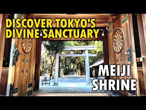 Tokyo’s most famous shrine | Meiji shrine