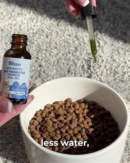 “I didn’t realize my cat’s kidneys were working so hard… until it was almost too late.” 😿 Even healthy cats can have kidneys under constant strain — quietly filtering toxins day and night. By the time symptoms show, the damage has often been building for months or even years. Most cat parents wait until a vet mentions kidney issues. But by then, you’re managing damage instead of preventing it. And while you can’t reverse what’s already happened, you can protect what your cat still has. Here’s w