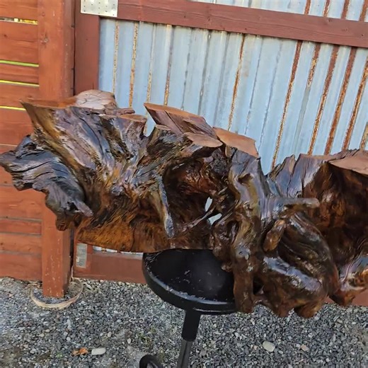 Vintage 70s Redwood Juniper Burl Root Table Base • Organic Natural Wood Sculpture • Rustic Cabin Decor Free Shipping S1 - Etsy