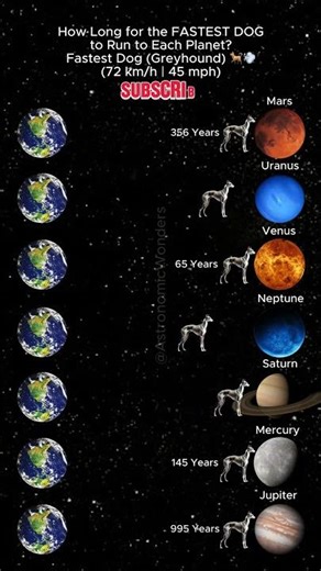 How Long for the Fastest Dog to Run to Each Planet? 🐕🪐 #shorts