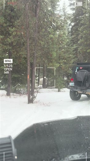 #ladyownedtoyotas #toyotausa🇺🇸 #albanytoyota #4runnermafia #jeepbabesworldwide💋 @Albany Toyota @111ladyownedtoyotas @Iron Rigs 4x4 @Low Pressure Crew @IRONMAN 4X4 USA