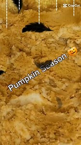 Bounce Magic on Reels | Facebook