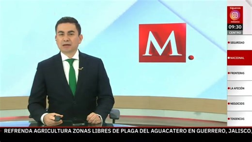 6.4K views · 138 reactions | ‼️INFORMACIÓN‼️ El H. XL Ayuntamiento...