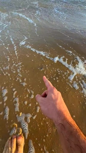 game King 👑 USA (@game.king.usa)’s videos with original sound - game King 👑 USA