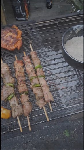 Barbecue avec les amis