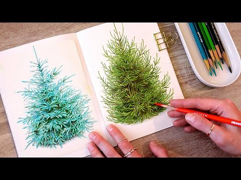 drawing spruce trees with colored pencils ✏️ | no music, no talking