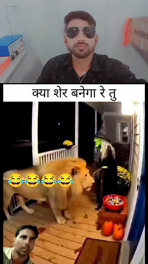 66 reactions | Top 10 strong giant dog of America Pit Bull vs... ( Red Fox, Hyena, Bear, Leopard, Wolf ) #dog #animal#dog #animal #dog #animal #dog #animal #animal #gorilla #animal #elephant #animals #animal #tiger #lion #elephant #gorilla #crocodile #bear #rhino #jaguar #vs #shorts #servalcats #caracal #snowleopard #animal #animals #snowleopard #tiger #blackpanther #leopared #cheetah #lion #caracal #bobcat #servalcats #lynx #blackleopard #tiger #ocelat | Ranjit Kumar | Facebook