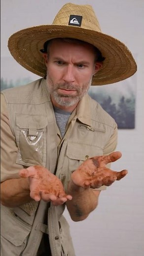 The Dirty Truth About Poop Patches