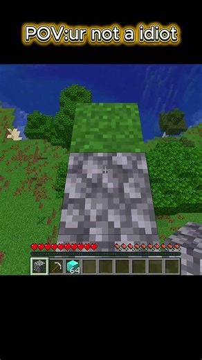 POV:ur not a idiot in minecraft