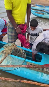 Wellness Nutrition on Reels