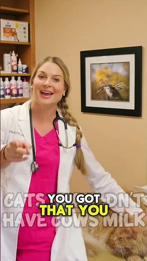 🔗👆 CLICK THE LINK IN MY BIO TO WATCH THE FULL VIDEO! ⁉️ Should Cats drink Cows Milk!? 🐄 🥛