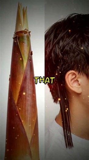 Bamboo Grows 35 INCHES in 24 HOURS – INSANE FAST NATURE!