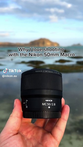 Experience the Beauty Underwater with NIKKOR Z MC 50mm Macro Lens