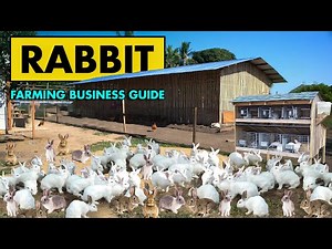 Rabbit Farming Business Plan | How to start Rabbit Farming Business | Bunny Rearing at Home