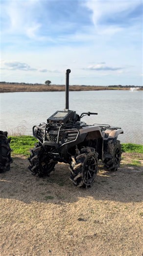 @225Vinny dig | vinny