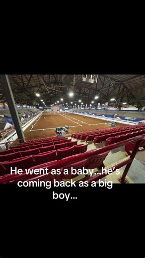 Growing and showing…#gypsyvanner #mindsetequestrian #westerndressage #enjoytheride