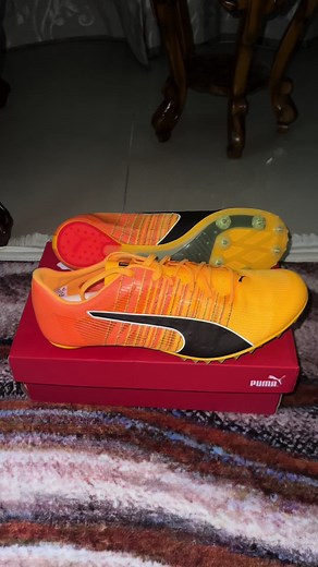 Ucop Spikes on TikTok