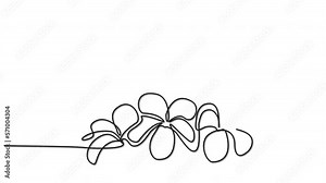 Flowers silhouette self drawing animation. Design element. Yellow flowers