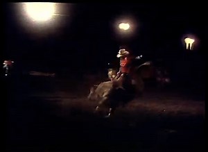 4.2K views · 172 reactions | 1980 Cootamundra Rodeo: Australian Bull Riding Champion Steve Hodge and Garry McPhee Rodeo Company's 1980 Bucking Bull of the year Cream Puff. Australian Professional Rodeo Association - APRA #longlivecowboys #buckingbulls #bullriders #bullriding | Andrew Roberts - A Roberts Media | Facebook