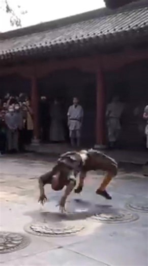 #Shaolin_Monk #Shaolin_Kung_Fu #Chinese_Shaolin_Martial_Art #Yunnan_Shaolin_Temple_China | Shaolin Kong Fu
