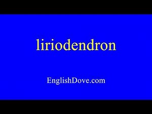 How to pronounce liriodendron in American English