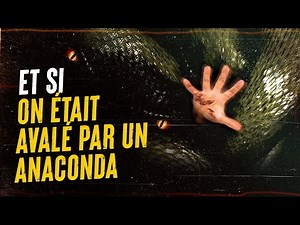 WHAT IF WE WERE SWALLOWED BY AN ANACONDA?