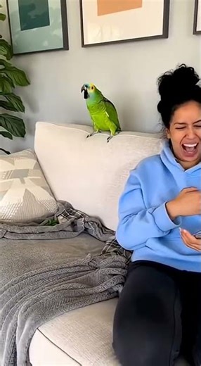 Funny Parrot Throws Lizard on Dog 🦜🐶 Hilarious Reaction Caught on Camera! 🐶🦜