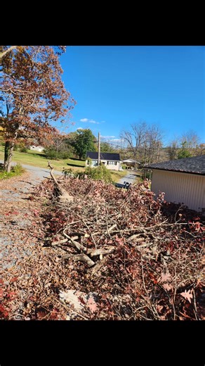 11 reactions | No ghosts or goblins hiding in these trees. Happy Halloween from Sharptop Tree Service LLC | Sharptop Tree Service LLC | Facebook