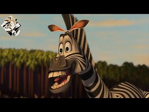Marty Suite || Madagascar Trilogy (Music By Hans Zimmer And John Berry)
