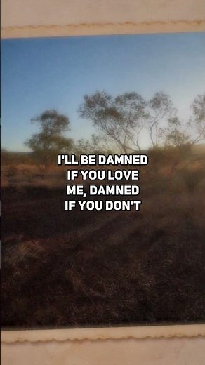 alex warren - fever dream (lyrics) #alexwarren #feverdream #pop #lyrics