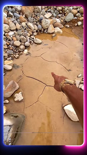 Epic Animal Evolutions: Witness Nature’s Most Incredible Changes! #AmazingAnimals #WildlifeStories #Nature | Wildlife Animals