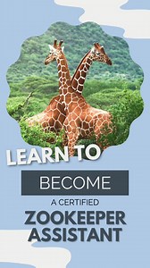 570 reactions · 188 shares | Learn to be WILD! Get certified as a professional zookeeper assistant. Start your path to your new dream career today | Animal Behavior College | Facebook